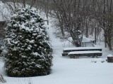 Nyúli havas kert,gyönyörű :)