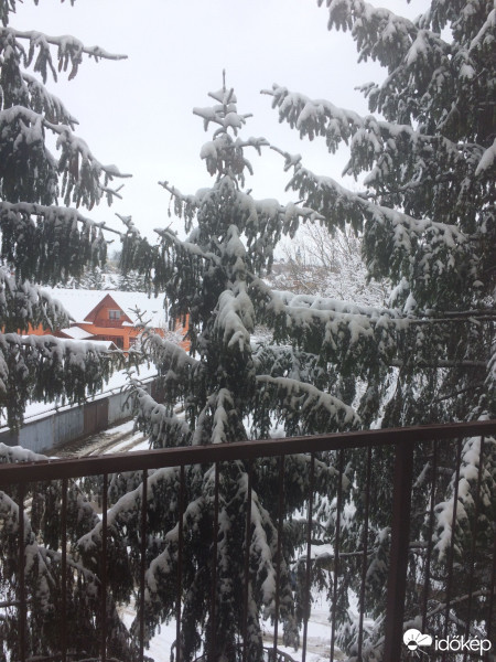 Észlelési fényképek