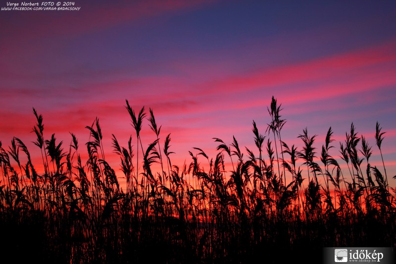 Egy új hét kezdete