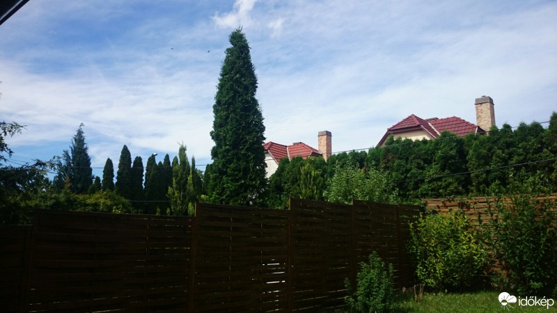 Észlelési fényképek