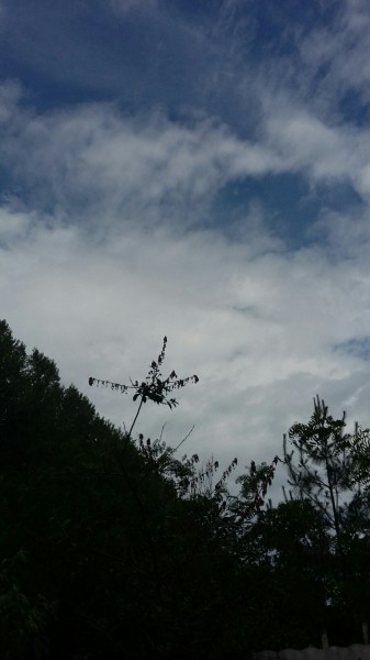 Észlelési fényképek