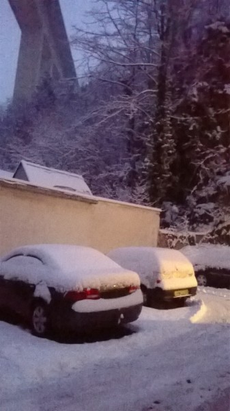 Észlelési fényképek