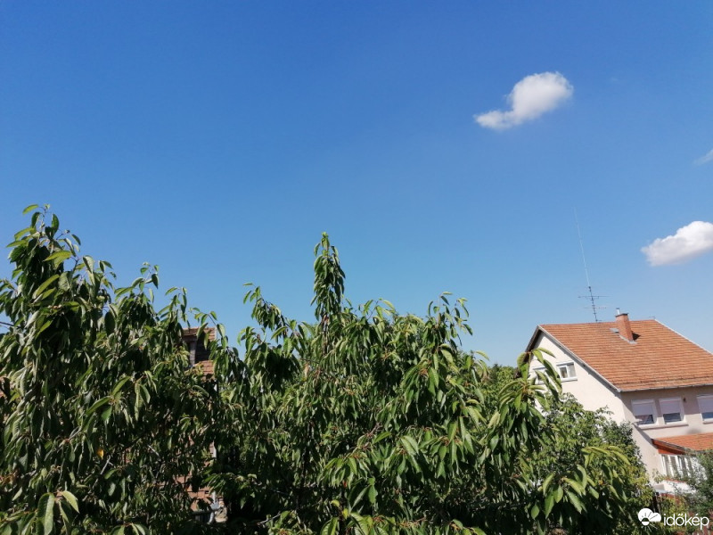 Észlelési fényképek