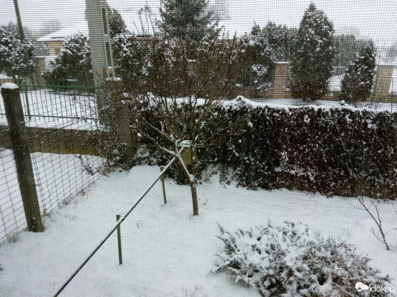 Észlelési fényképek