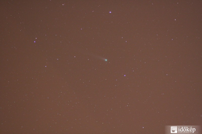 lovejoy