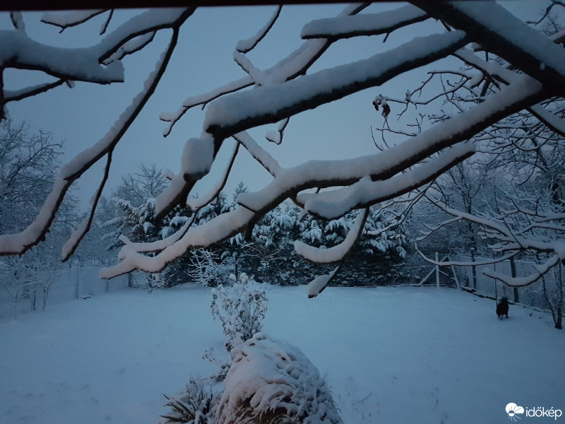 Észlelési fényképek