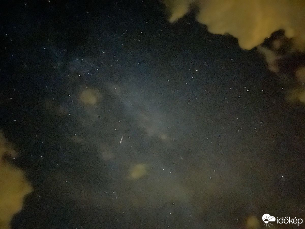 Észlelési fényképek