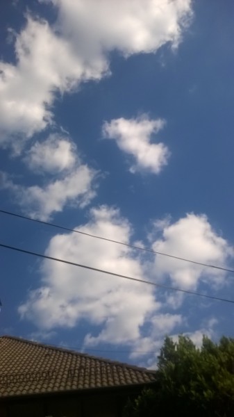 Észlelési fényképek