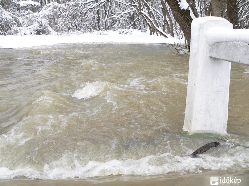 Tőserdő 2013.03.30.