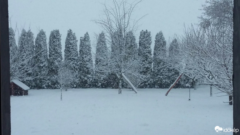 Észlelési fényképek