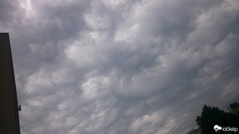 Budapest XV.ker - Pestújhely