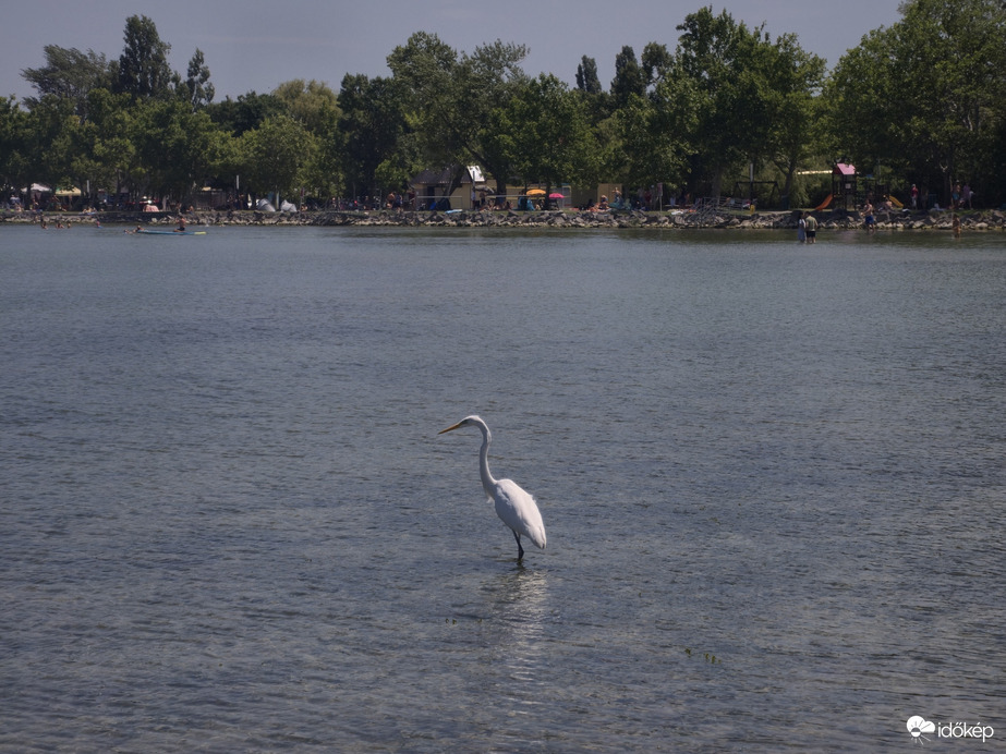 Balatonfenyves
