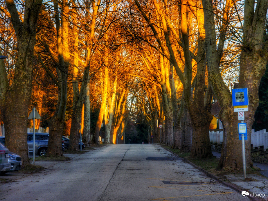 Észlelési fényképek