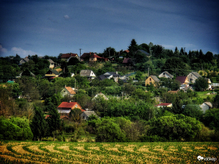 Tájkép