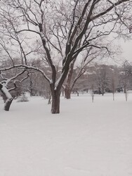 Budapest VII.ker - Erzsébetváros