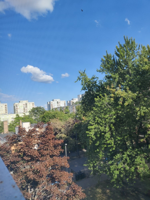 Nyíregyháza