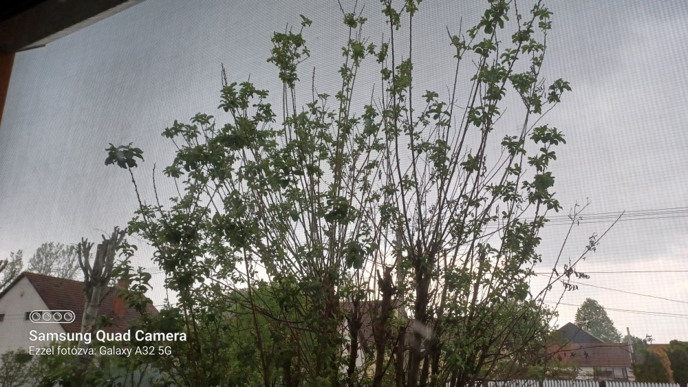 Észlelési fényképek