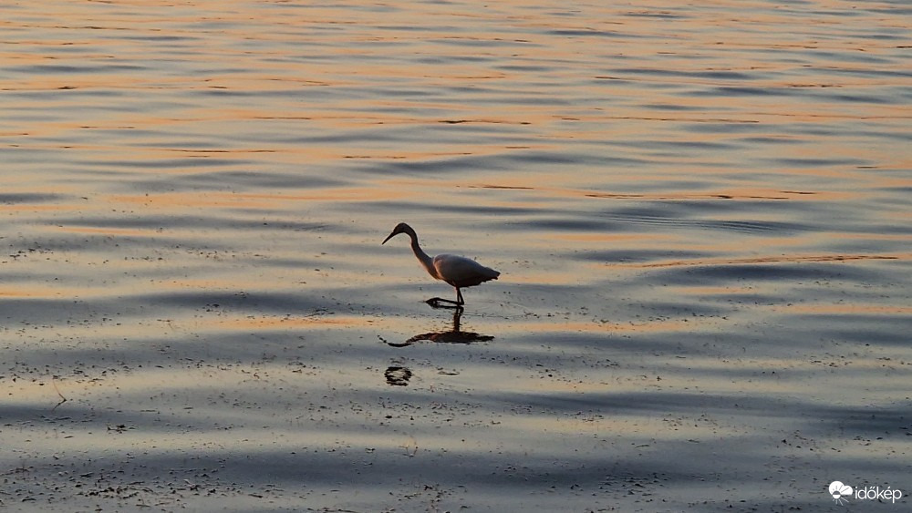 Balatonföldvár