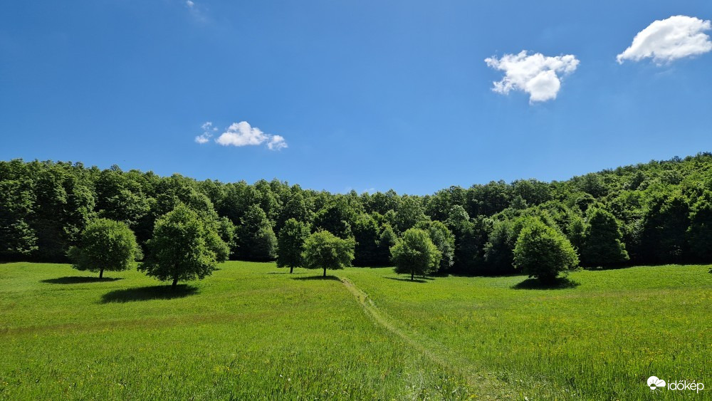 Parád