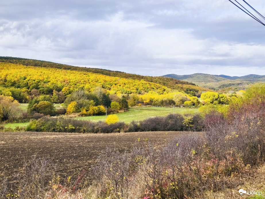 Őszi táj 
