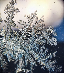 Jégvirág a szélvédőn 