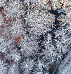 Jégvirág a szélvédőn 