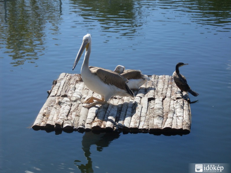 Poroszló-i ökocentrum