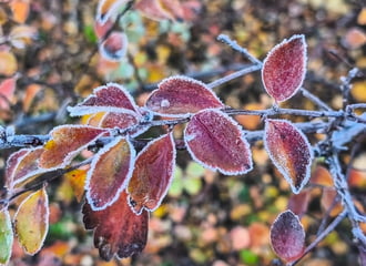 Ősz és tél egy fotón 