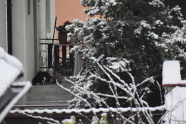 Bebocsátásra várva