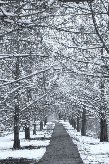 '22. január, Szeged