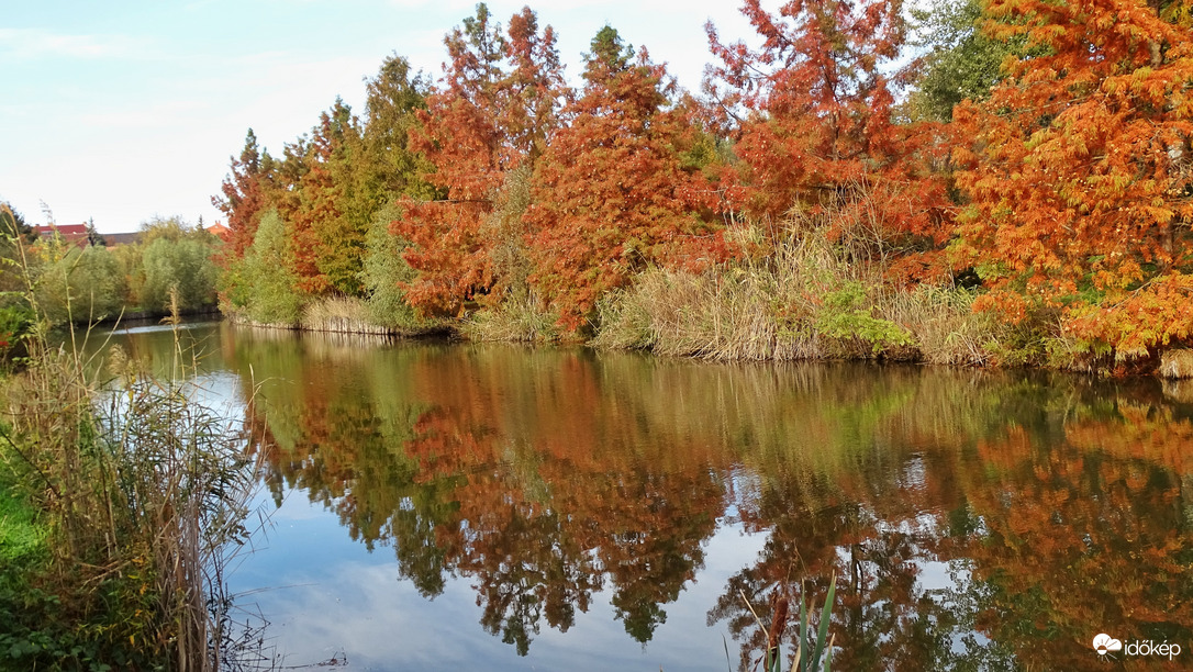 Őszi hangulat az újszegedi Holt-Marosnál 