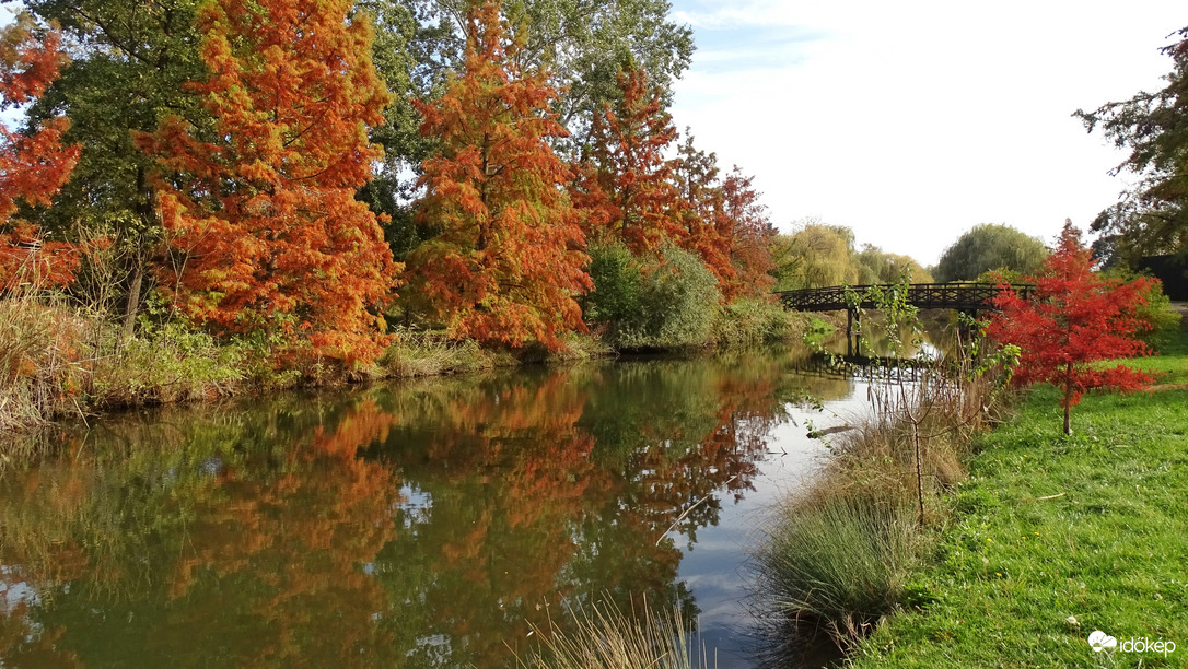 Őszi hangulat az újszegedi Holt-Marosnál 