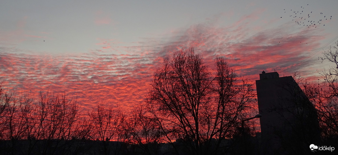 Karácsonyi csodás...