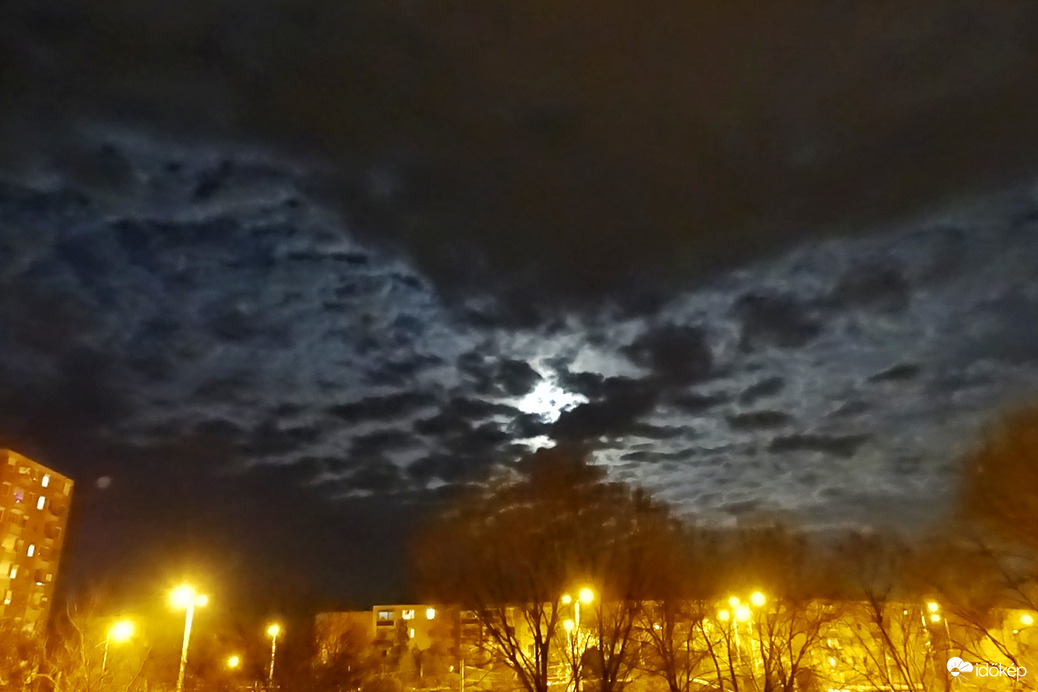 Teliholdas pillangó Szeged felett