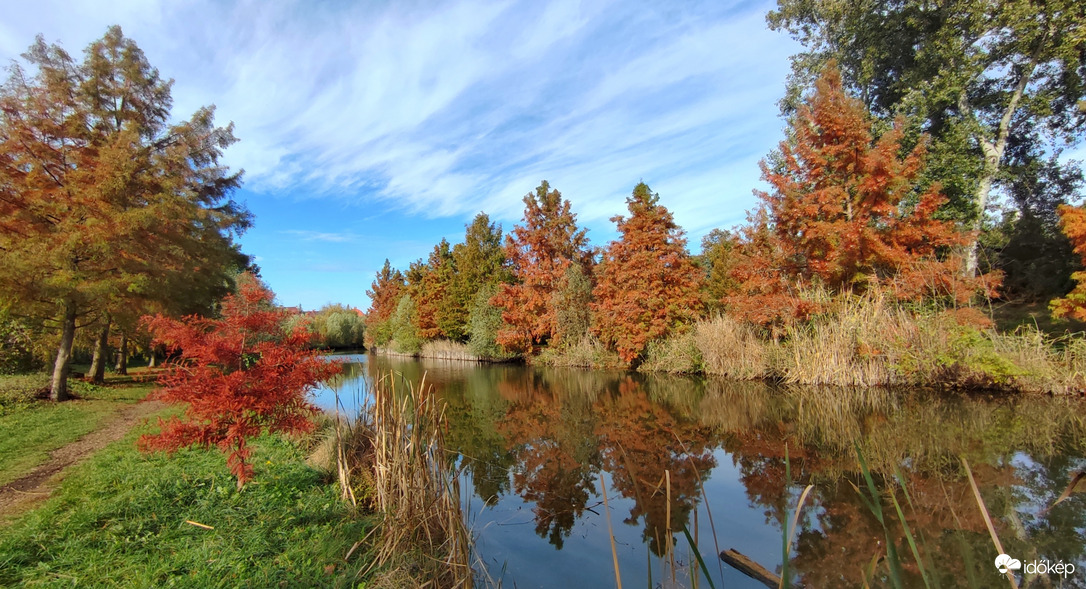 Őszi hangulat az újszegedi Holt-Marosnál 