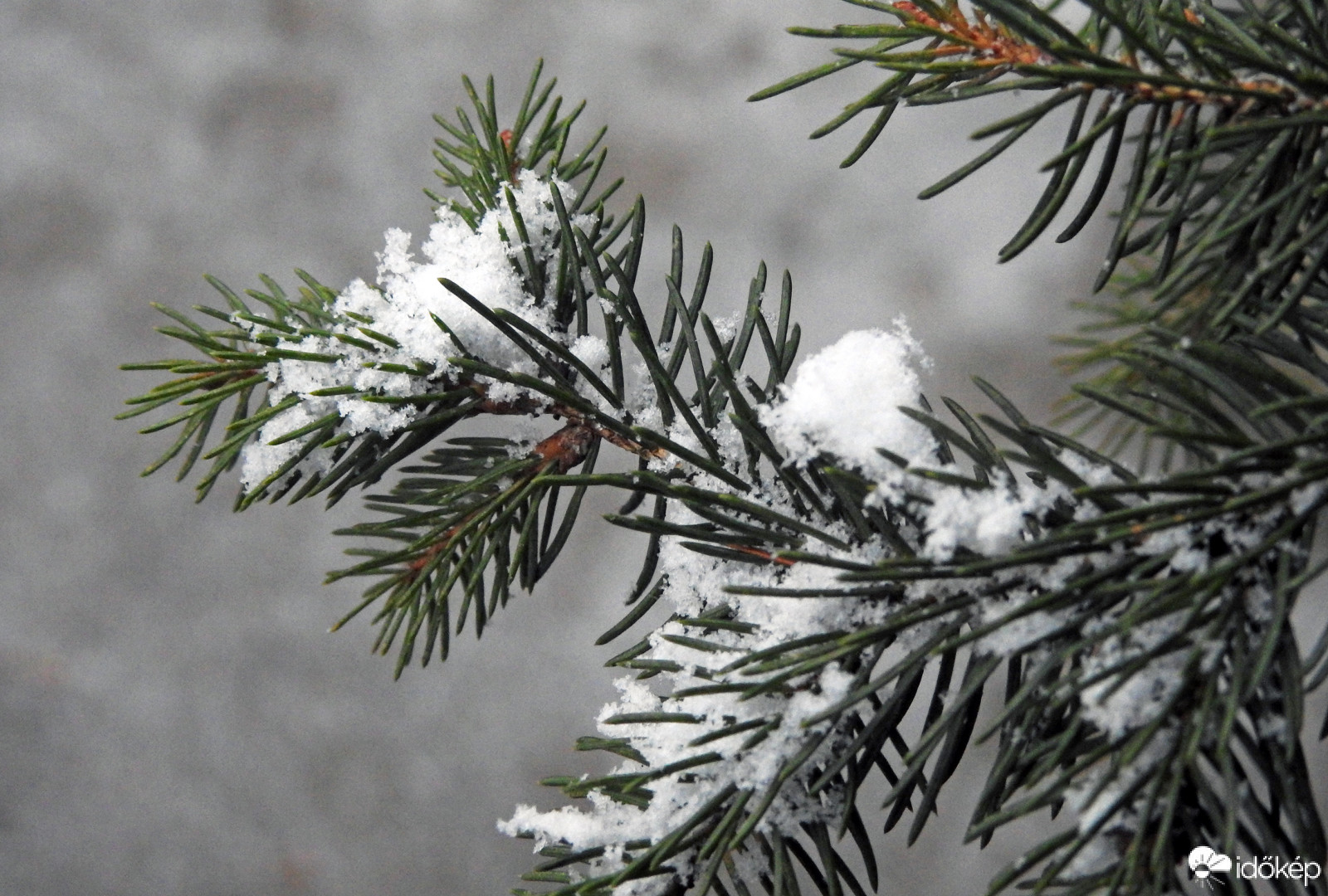 Megérkezett a tél! :)