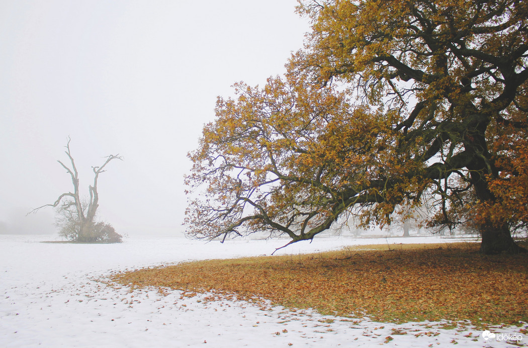 Ősz és tél :)