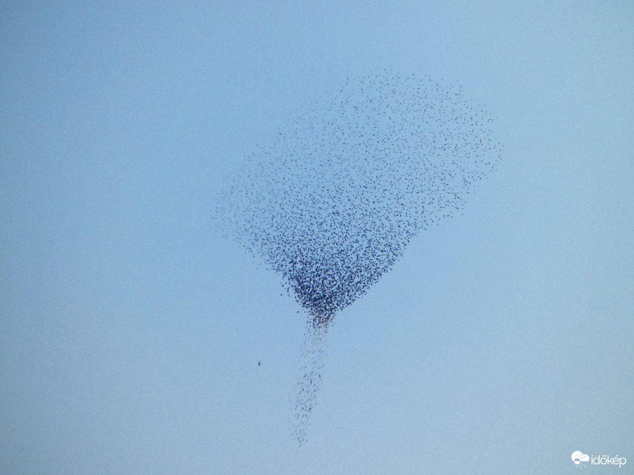 Seregély-felhő a távolban (2)