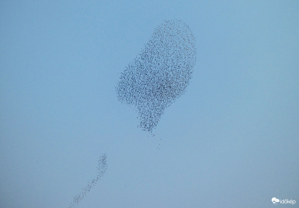 Seregély-felhő a távolban (3)