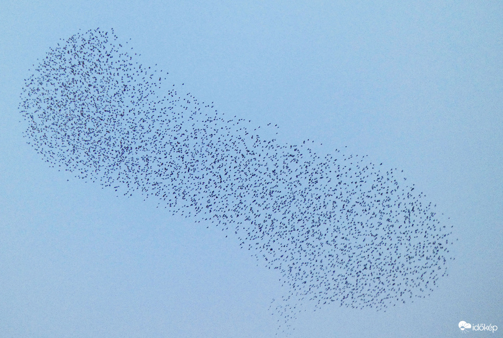 Seregély-felhő a távolban (4)