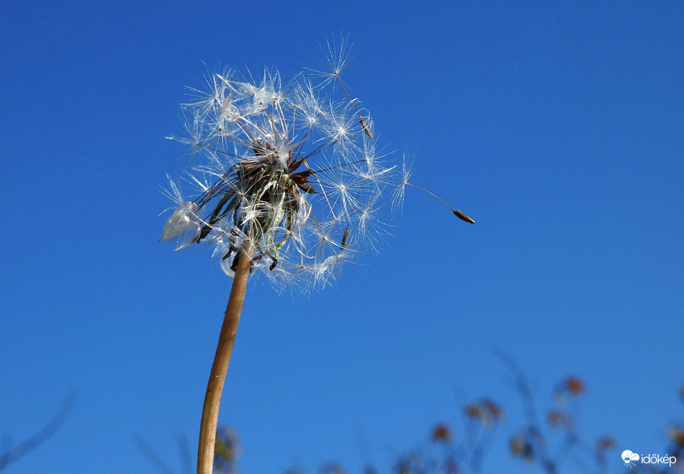 19 °C, derült ég :)