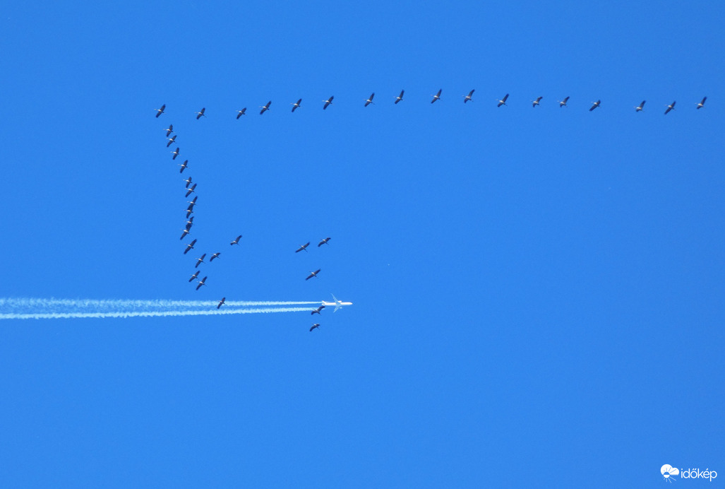 Darvak vonulása (1)