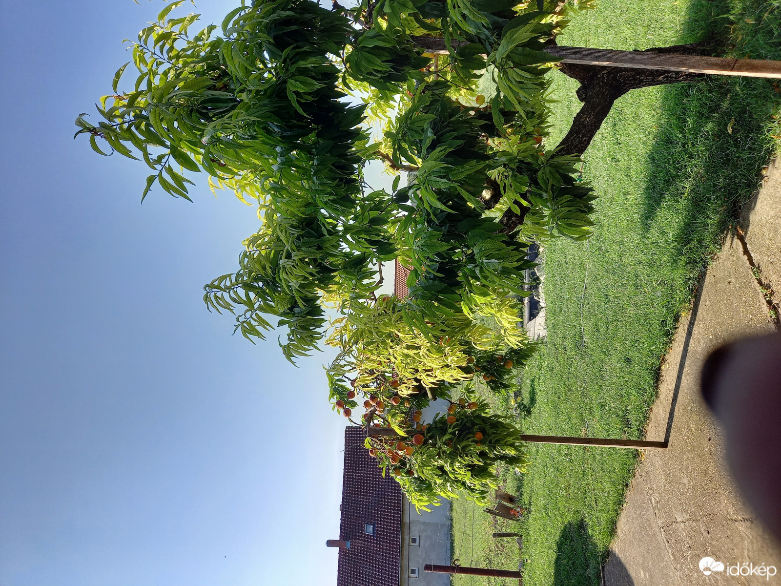 Észlelési fényképek