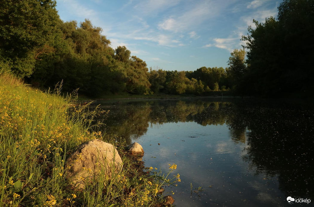Természet