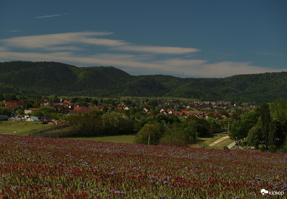 Természet