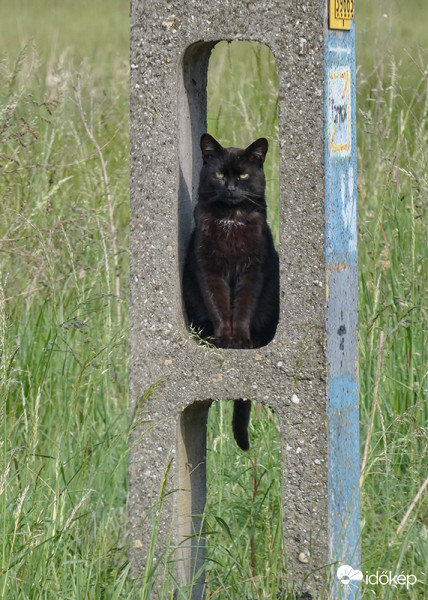 Megtalálta a helyét:)