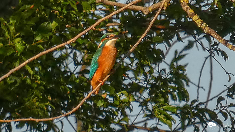 Kicsi és gyors, de gyönyörű