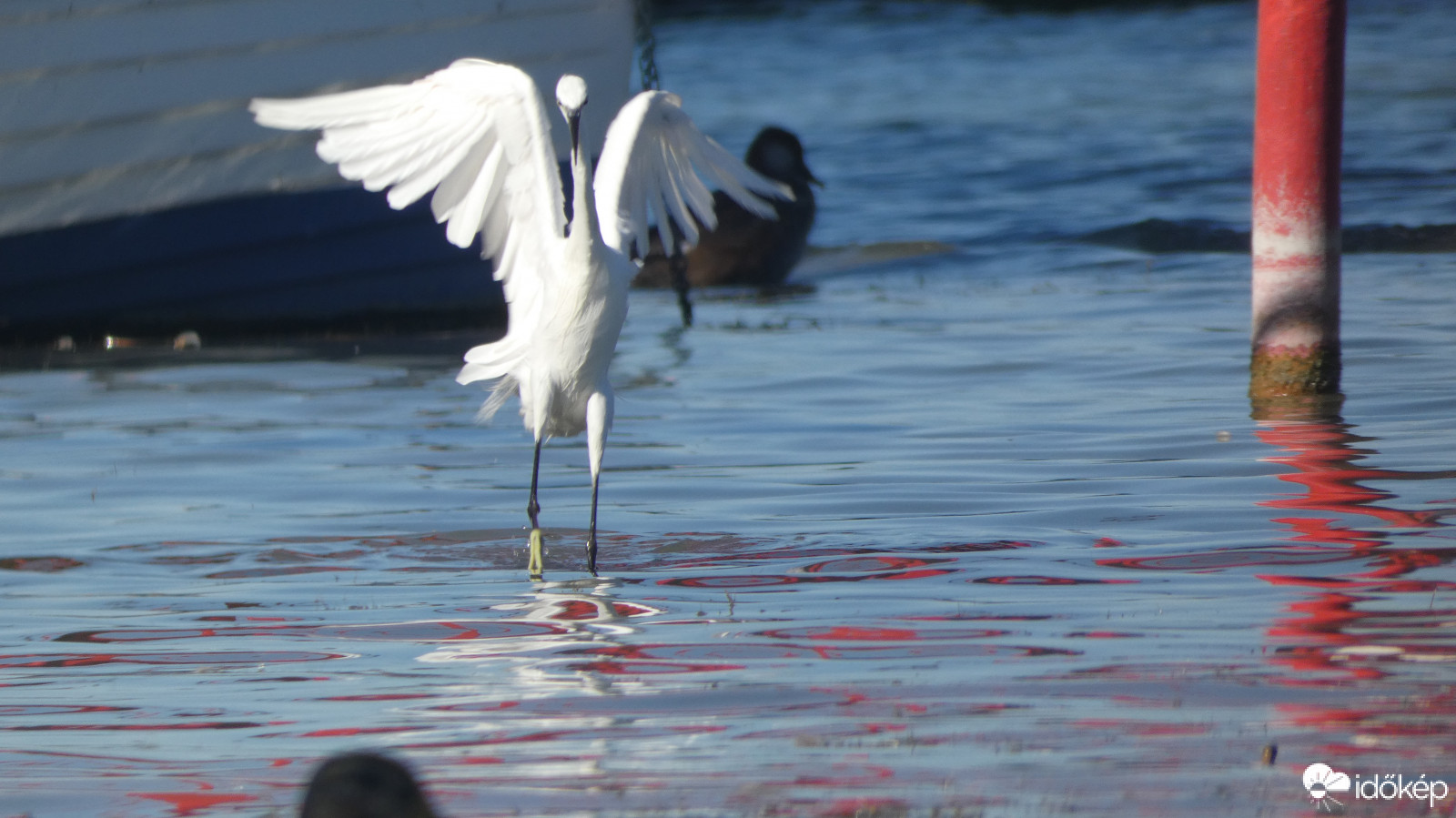 Még egy tánc lépés :)