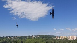 Szombathely