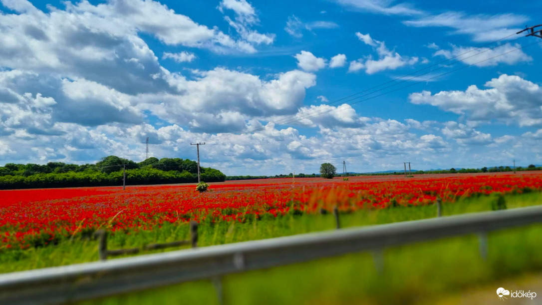 Észlelési fényképek